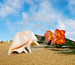 Summer holidays with seashell over blue sky