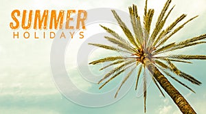 Summer Holidays text and Palm Tree against sunny clear sky panoramic background