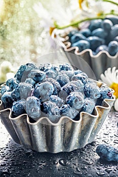 Summer honeysuckle berries in metal forms for baking