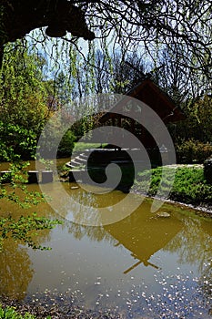 Summer house with muddy pond and pillars in water of Japan corner in Arboretum Mlynany, Slovakia