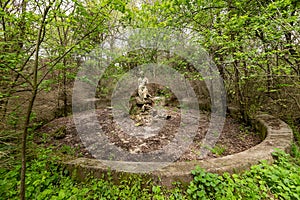 The summer house of the noble family Gombos and a fountain in the shape of a bust of a young woman left to the ravages of time.