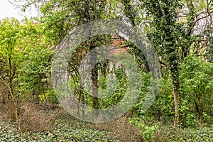 The summer house of the noble family Gombos left to the ravages of time. It was built at the beginning of the 20th century