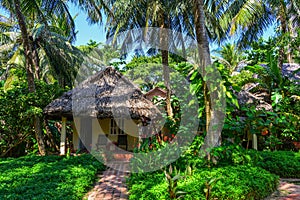 Summer houses with green tree garden