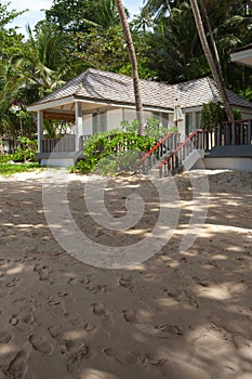Summer hut in tropic environment