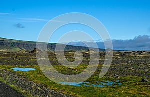 Summer icelandic landscape