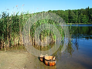 Summer idyl near the lake photo