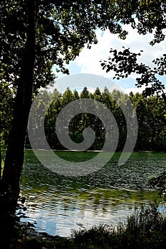 Summer idyllic landscape with a lake under a blue sky on a warm sunny day