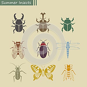 Summer insects