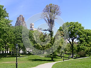 Summer Inside Central Park