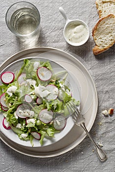Summer itaian salas with lettuce, radishes, and sauce in a plate. Top view. Copy space