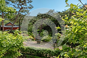 Summer of Jingwansa Temple in Seoul, Korea