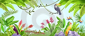 Summer jungle frame, tropical nature bird background, parrot, toucan, banana and palm leaves, liana.