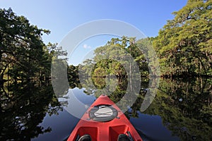 Summer kayaking in Fisheating Creek, Florida.