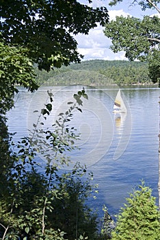 Summer on the lake