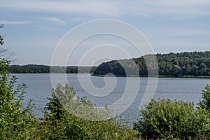 Summer lake in the forest .