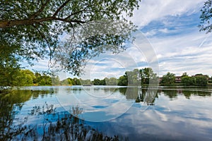 Summer lake landscape with green trees and bush, Woking, Surrey