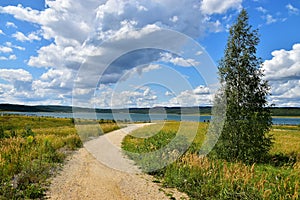 Summer lake in revitalized landscape