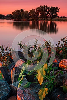 Summer Lake Sunrise