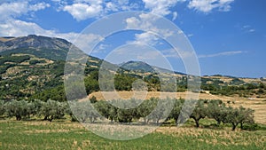 Summer landscape in Abruzzi near Brittoli