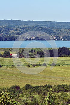 Summer landscape with agricultural field near the village on the lake