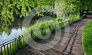 Summer landscape. Alley in the park. Magic place. Relaxation corner