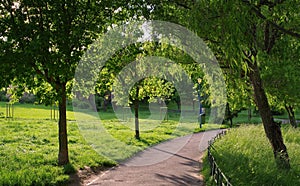 Summer landscape. Alley in the park. Magic place. Relaxation corner