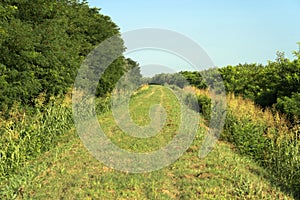 Summer landscape along the cycle path of the Po river, italy