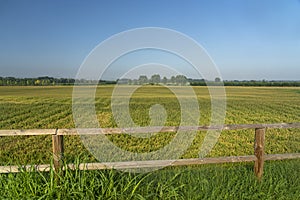 Summer landscape along the cycle path of the Po river, italy