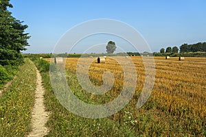 Summer landscape along the cycle path of the Po river, italy