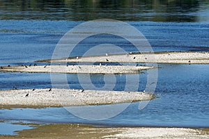 Summer landscape along the cycle path of the Po river, italy