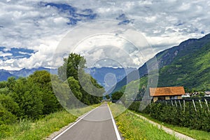 Summer landscape along the cycleway of the Adige river