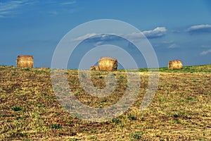 Summer landscape along the road to Camigliatello, Sila