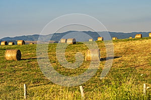 Summer landscape along the road to Camigliatello, Sila