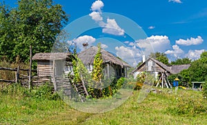 Summer landscape in an ancient farm-stead Proni in Poltavskaya oblast, photo