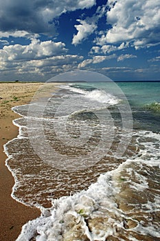 Summer landscape on beachcoast