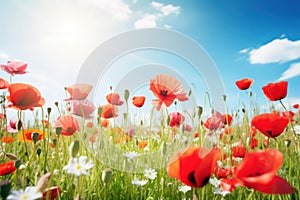 Summer landscape of beautiful red poppy flowers in meadow on blue sky background. Generative ai