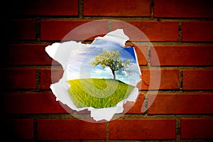 Summer landscape behind red brick wall hole