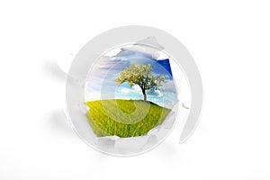 Summer landscape behind white wall hole