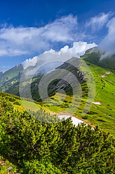 Summer landscape of the Belianske Tatras. Tatra National Park, Slovakia. The Mount Havran and Zdiarska Vidla