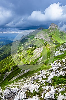 Letná krajina Belianskych Tatier. Tatranský národný park, Slovensko. Hora Havran a Ždiarska Vidla