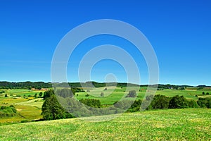 Summer landscape with blue sky