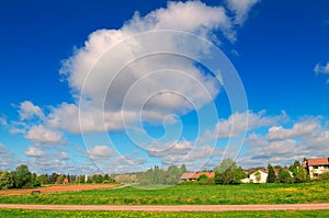 Summer landscape of blue sky, white clouds and green field