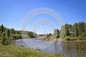 Summer landscape - A calm flat river among fields and birch groves under a blue sky. Cloudless summer weather