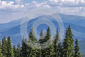 Summer landscape of the Carpathian Mountains, Svydivets mountain range, Ukraine. Carpathian Biosphere Reserve. photo