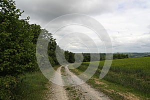 Summer landscape with cereal fields on a cloudy day