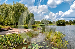 Summer landscape of Chicago Botanic Garden, Glencoe,USA photo