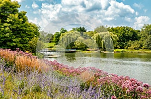Summer landscape of Chicago Botanic Garden, Glencoe,USA photo