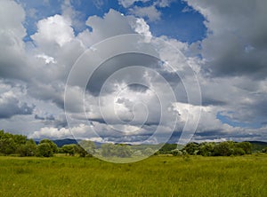 Summer landscape with a cloudy sky