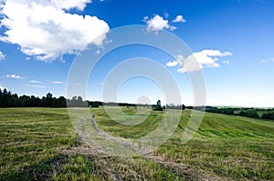 Summer landscape with country road in the field of green grass and clouds