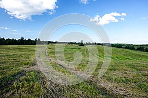 Summer landscape with country road in the field of green grass and clouds